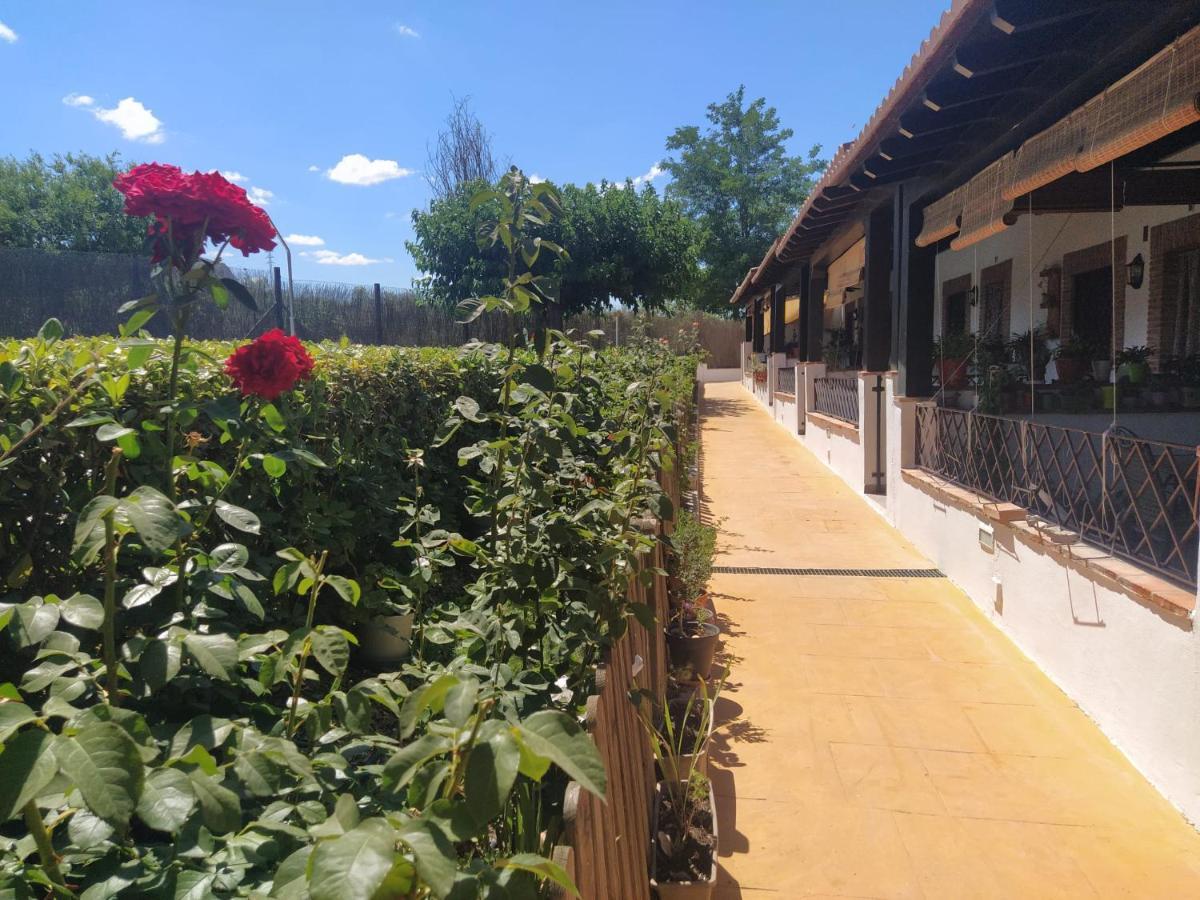 Casa Rural Alamillo Luque المظهر الخارجي الصورة